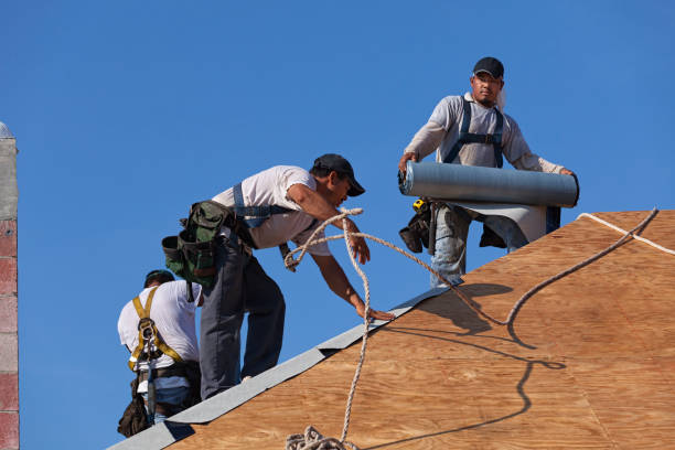 Best Local Roofing Companies  in Foreman, AR